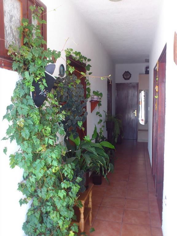 סנג' Apartment Leona מראה חיצוני תמונה